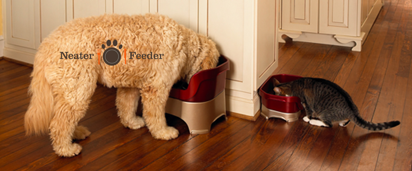 industrial design, product development, new ideas